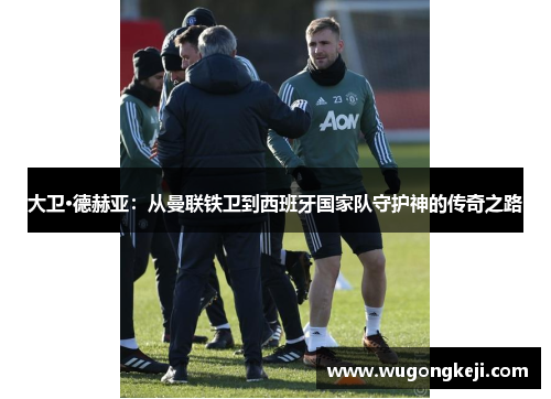 大卫·德赫亚：从曼联铁卫到西班牙国家队守护神的传奇之路
