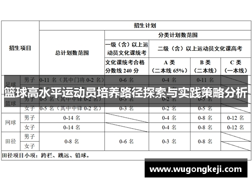 篮球高水平运动员培养路径探索与实践策略分析