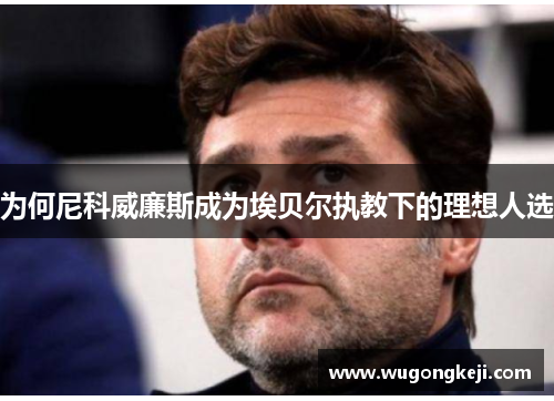 为何尼科威廉斯成为埃贝尔执教下的理想人选