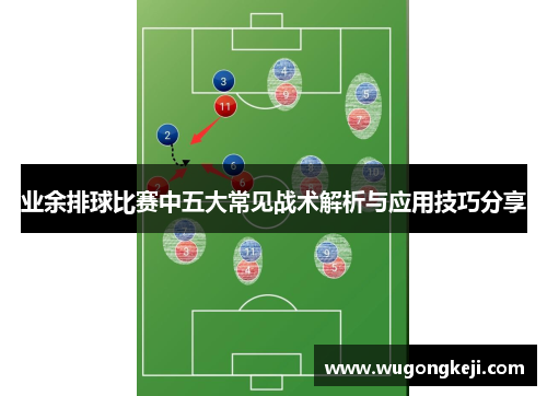 业余排球比赛中五大常见战术解析与应用技巧分享