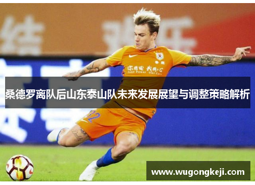 桑德罗离队后山东泰山队未来发展展望与调整策略解析