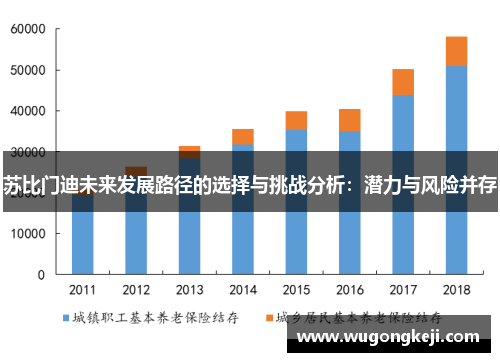 苏比门迪未来发展路径的选择与挑战分析:潜力与风险并存 苏比门迪未来发展路径的选择与挑战分析:潜力与风险并存