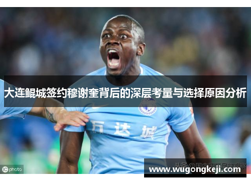 大连鲲城签约穆谢奎背后的深层考量与选择原因分析