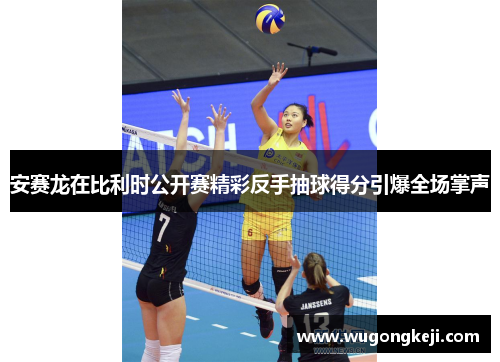 安赛龙在比利时公开赛精彩反手抽球得分引爆全场掌声 安赛龙在比利时公开赛精彩反手抽球得分引爆全场掌声